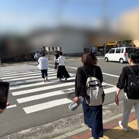 画像290